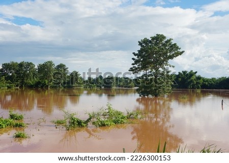 The flooding spread over a wide area. El Niño and La Niña phenomena. climate change. Royalty-Free Stock Photo #2226300153