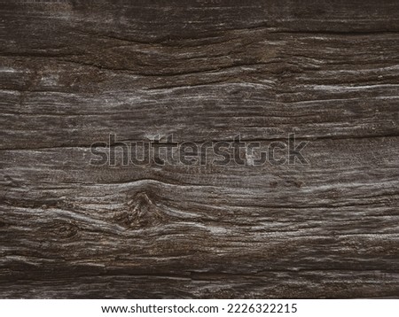 Dark grunge wooden texture, nature background, old wood wall, free space for your text or product 