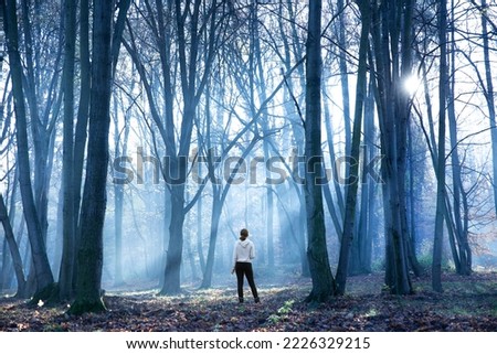 Silhouette of a woman in the forest in the morning mist