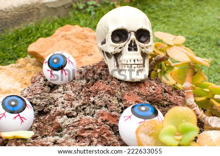 Halloween skulls in the garden