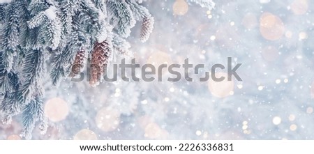 Winter Christmas panoramic background with border of Christmas tree with cones. Winter rustic scene. Holiday Light blue wide template for design Christmas flyer, web banner, billboard