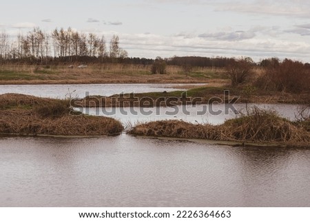 river Lielupe in Latvia at springtime aftr spring floods. Dry reeds field on shores