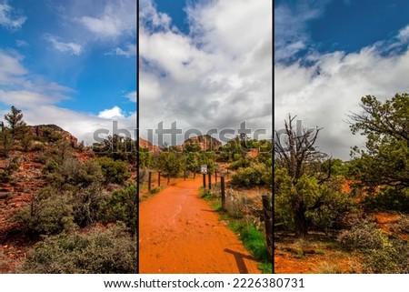 Red sand and desert vegetation near Sedona, AZ, USA