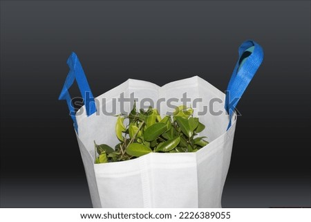 Beautiful Non Woven grocery shopping bag with black background. Green beautiful non woven gift and shopping bag. Non Woven Bag Wholesaler, Manufacturer and Trader