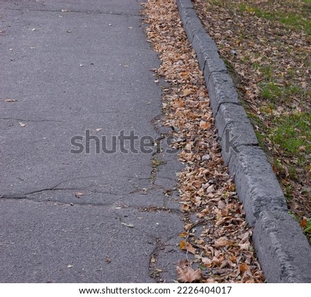 The sidewalk, curb and lawn are covered with autumn leaves