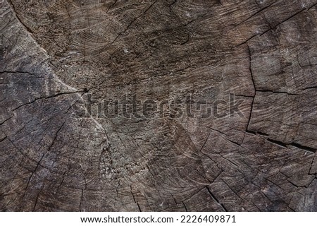 Age rings on the sawn trunk of an old tree Age rings. The flow of time. Sawn trunk. Old tree. Wood texture. Old tree.