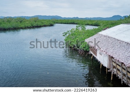 Asian fishing village on the mangrove sea shore.