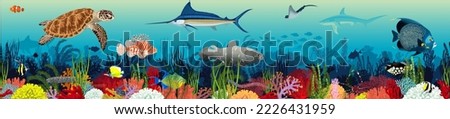 Vector underwater coral reef horizontal seamless pattern. Undersea bottom texture with colorful tropical fishes, sharks and  green sea turtle Royalty-Free Stock Photo #2226431959