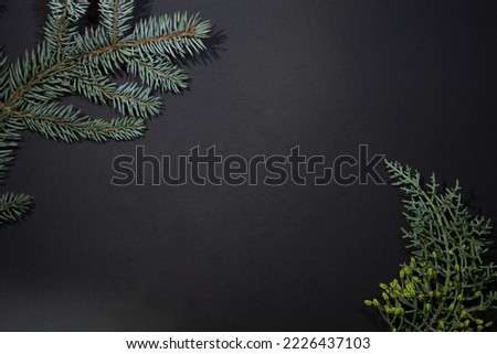 Christmas tree with on a black background with empty space and a fir branch