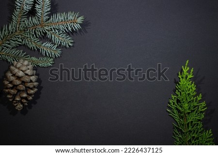 New Year backgraund - christmas trees with a fir cone - on a black background and empty space - and fir branch