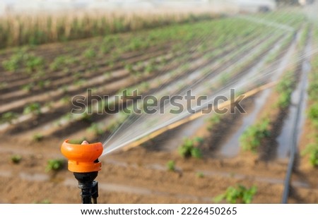 Closeup of sprinkler spraying water on farm field, irrigating young agricultural crops on sunny day.. Royalty-Free Stock Photo #2226450265