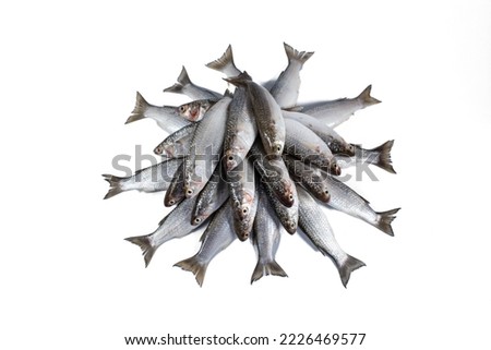 mead fish in high res. image and isolated in white