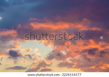 Dramatic cumulus clouds on sunny day at sunset painted with sun, with some birds flying. Atmosphere multicolor background or wallpaper