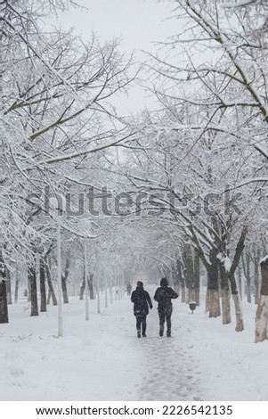Couple back to camera walking in snowy park, trees covered with snow on winter background, vertical shot Royalty-Free Stock Photo #2226542135