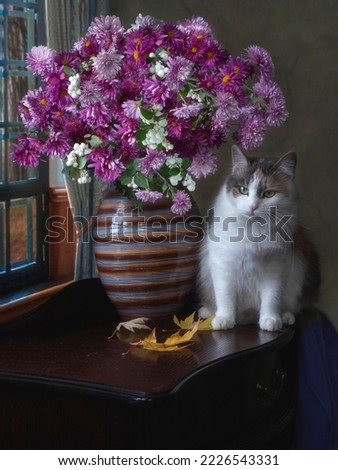 Charming kitty with a bouquet of chrysanthemum flowers