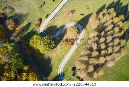 Bicycle path in the park. Ecosystem and healthy environment concepts and background.