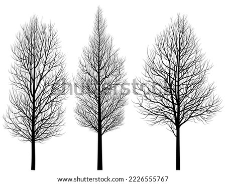 The outline of a tree without leaves. Vector illustration of trees without leaves pyramidal shape. Sketch for creativity.