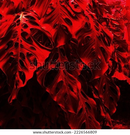 red tropical leaf background, trending color concept of the year 2022 Very peri. Royalty-Free Stock Photo #2226566809