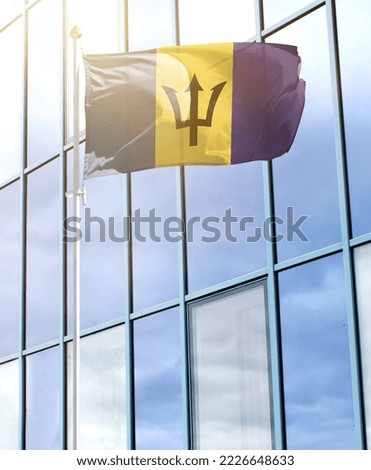 Flag of Barbados on a flagpole
