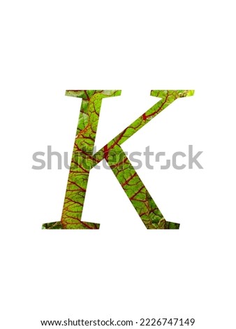 Letter K of the alphabet made with a red and green leaf of the vegetable Swiss chard (Beta vulgaris), with colors red and green, isolated on a white background