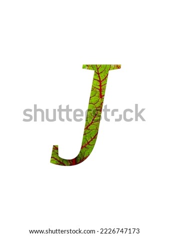 Letter J of the alphabet made with a red and green leaf of the vegetable Swiss chard (Beta vulgaris), with colors red and green, isolated on a white background
