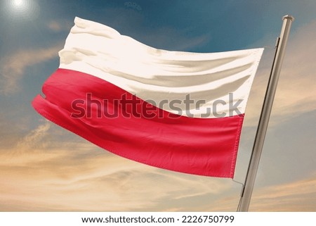Waving flag of Poland in beautiful sky. Poland flag for independence day. The symbol of the state on wavy fabric.