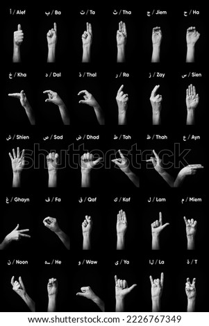 Dramatic Black and White image of male hands demonstrating Arabic sign language fingerspelling full alphabet with text description