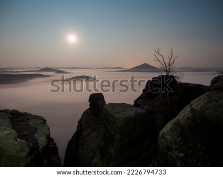 Full moon and sunset on mountain. Misty autumn landscape in cold full moon light, Bohemia Switzerland Royalty-Free Stock Photo #2226794733