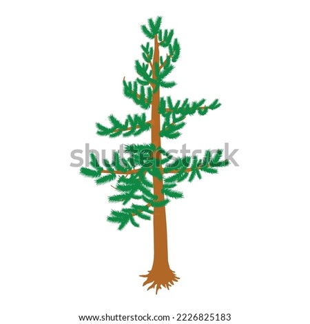 Green pine icon isometric vector. Freestanding evergreen coniferous tree icon. Plant, nature, flora, environment Royalty-Free Stock Photo #2226825183