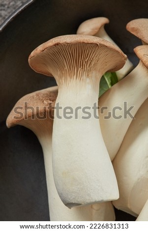 King Oyster mushrooms or Eringi in a bowl a dark background. Shallow depth of field. Flat lay