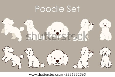 Simple and adorable Poodle set illustrations