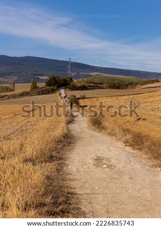 Stunning landscape in Spain with golden agricultural fields. Some people walking on the dusty road. El Camino pilgrim rout in autumn. 