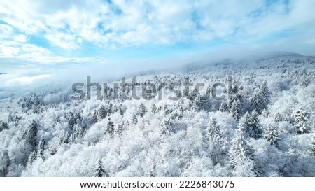 AERIAL: Magical view of woodland area covered with freshly fallen snow blanket. Vast hilly landscape and forest treetops stretching across hillsides after fresh snowfall. Gorgeous winter fairy tale.