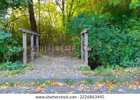 Wooden bridge with foliage on the ground in autumn. High quality photo