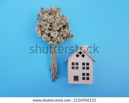 Artificial house, dried flower on blue background.