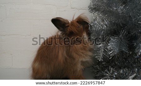 Rabbit and shiny Christmas tree. Christmas, New Year theme with bunny.