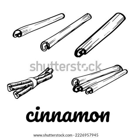Cinnamon stick set. Graphic black doodle sketch illustration isolated on white. Vector separate elements for menu, label or cosmetics packaging design.