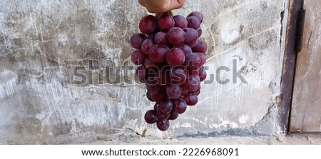 Picture of grapes. My friend bought grapes for my son from the flea market. I saw the baby grow up well. Sweet and sour taste is good. I shot it with a dark atmosphere because it was about to rain.