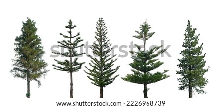 Conifer Trees, collection of green Christmas trees. on a white background isolated Royalty-Free Stock Photo #2226968739