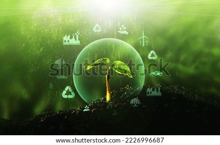 Sources for renewable, sustainable development. Environment and  ecology  concept. Royalty-Free Stock Photo #2226996687