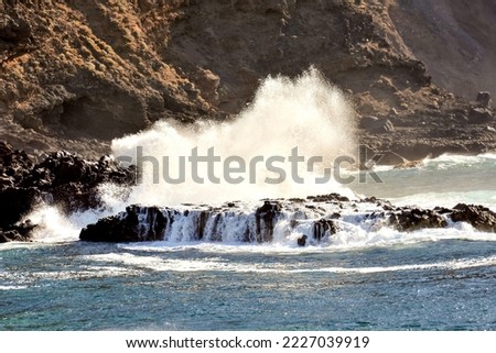 Photo Picture of the Beautiful Ocean Coast's View