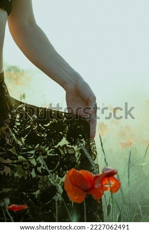 Close up woman hand holding skirt concept photo. Lady in poppy field. Front view photography with sunlit meadow on background. High quality picture for wallpaper, travel blog, magazine, article