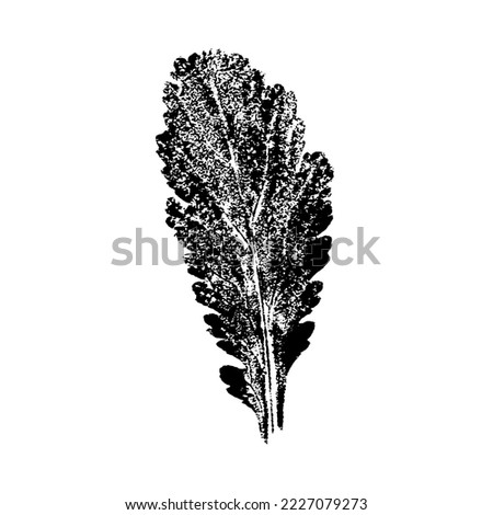 Leaf ink prints. Autumn herbarium, stamps leaves of trees. Grunge texture. Vector illustration. Black and white.