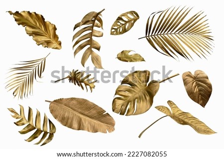 Gold monstera leaves plant frame isolated on a white background. top view. copy space. abstract. Royalty-Free Stock Photo #2227082055