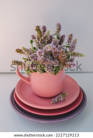 wild flowers in the pink cup for tea time and beautiful background