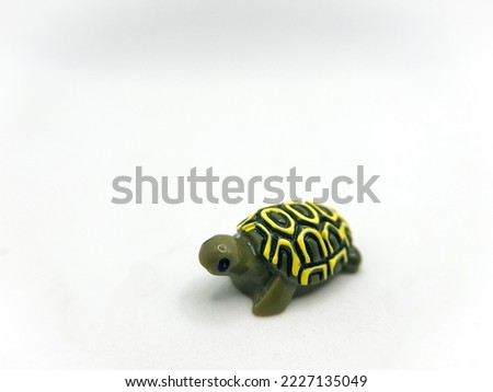 Turtle walking in a white background