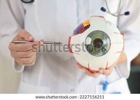 Ophthalmologist doctor holds part of anatomical model of eye. Surgical treatment and medical education concept. Royalty-Free Stock Photo #2227156211