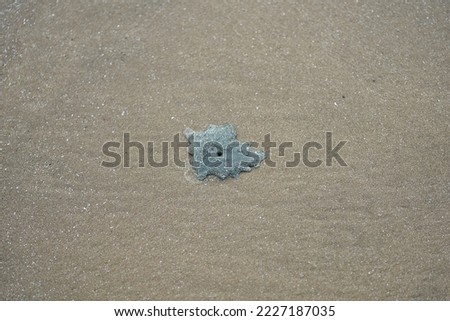 A small hole in the sand made by a burrowing crab. 