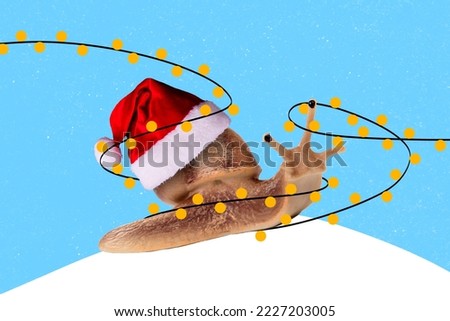 Creative collage picture of snail santa headwear shell drawing illumination garland isolated on drawing background