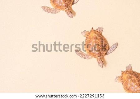 Sea turtles on beige color background. Horizontal animal theme poster, greeting cards, headers, website and app